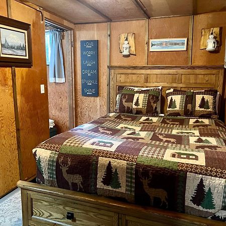 Mt Rainier Little Green Cabin On Big Creek! แอชฟอร์ด ภายนอก รูปภาพ