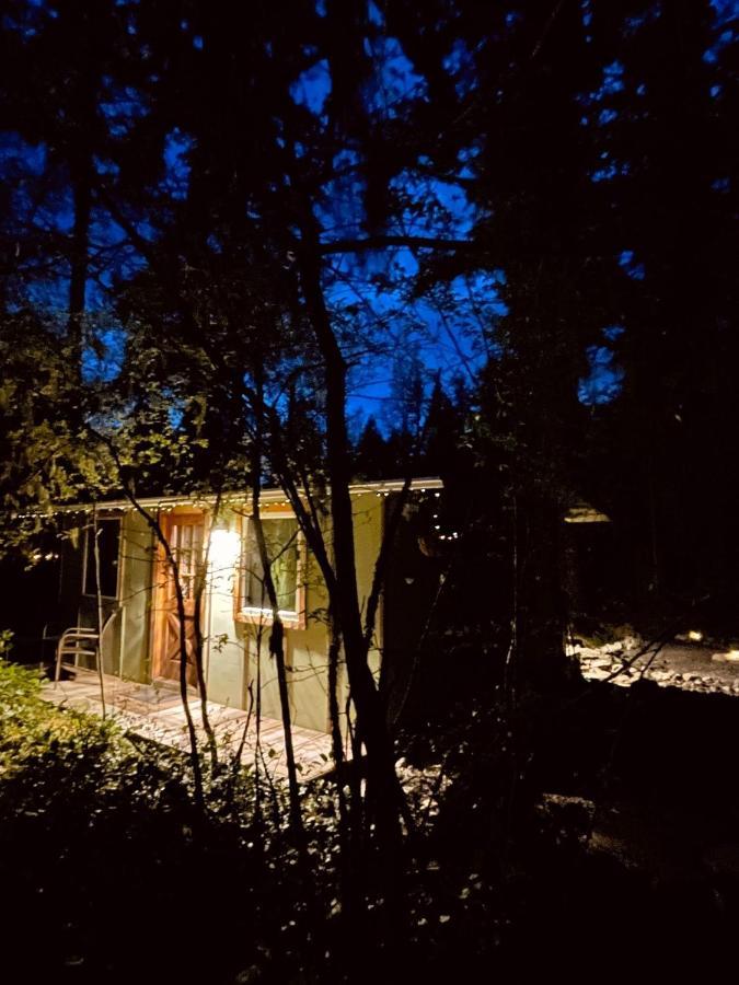 Mt Rainier Little Green Cabin On Big Creek! แอชฟอร์ด ภายนอก รูปภาพ
