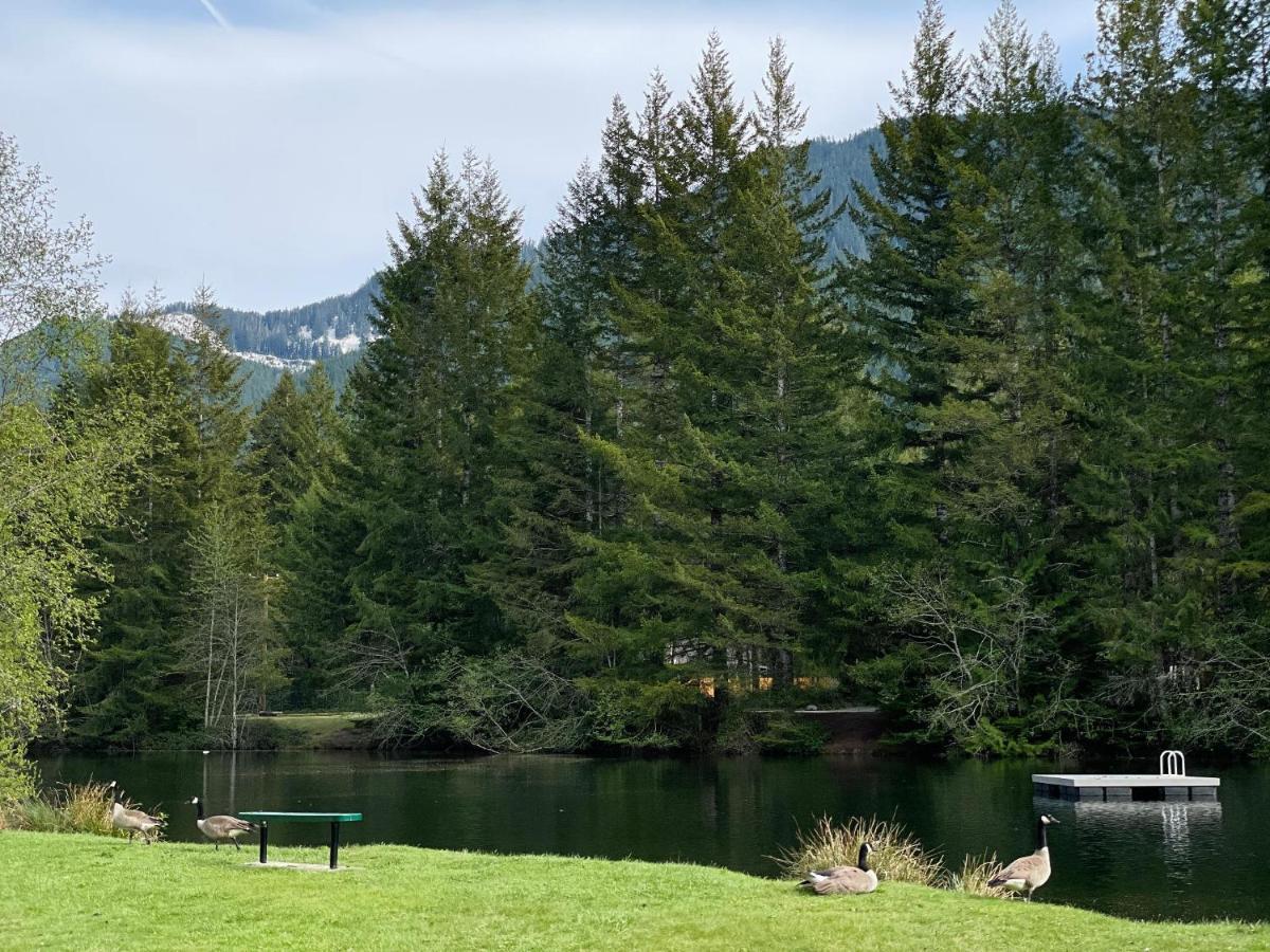 Mt Rainier Little Green Cabin On Big Creek! แอชฟอร์ด ภายนอก รูปภาพ