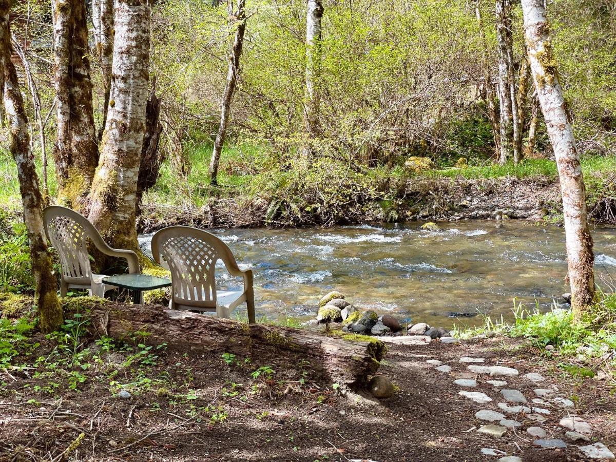 Mt Rainier Little Green Cabin On Big Creek! แอชฟอร์ด ภายนอก รูปภาพ