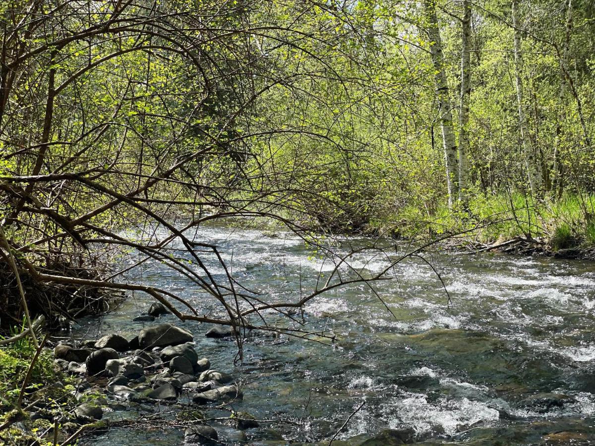 Mt Rainier Little Green Cabin On Big Creek! แอชฟอร์ด ภายนอก รูปภาพ