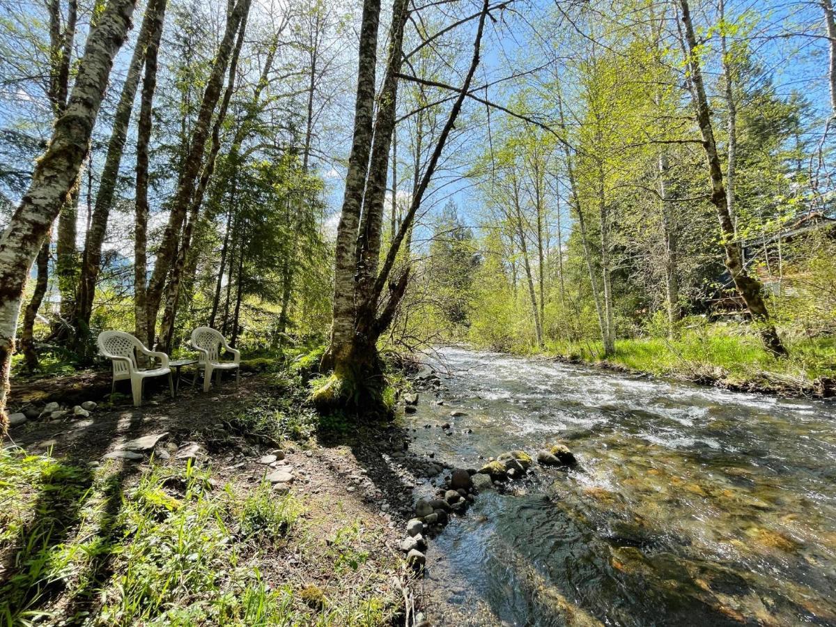 Mt Rainier Little Green Cabin On Big Creek! แอชฟอร์ด ภายนอก รูปภาพ