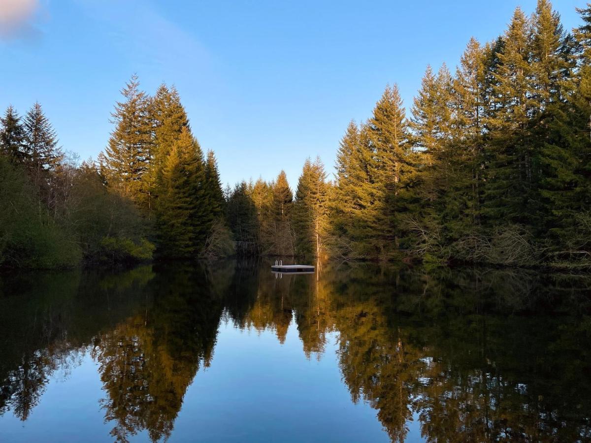 Mt Rainier Little Green Cabin On Big Creek! แอชฟอร์ด ภายนอก รูปภาพ