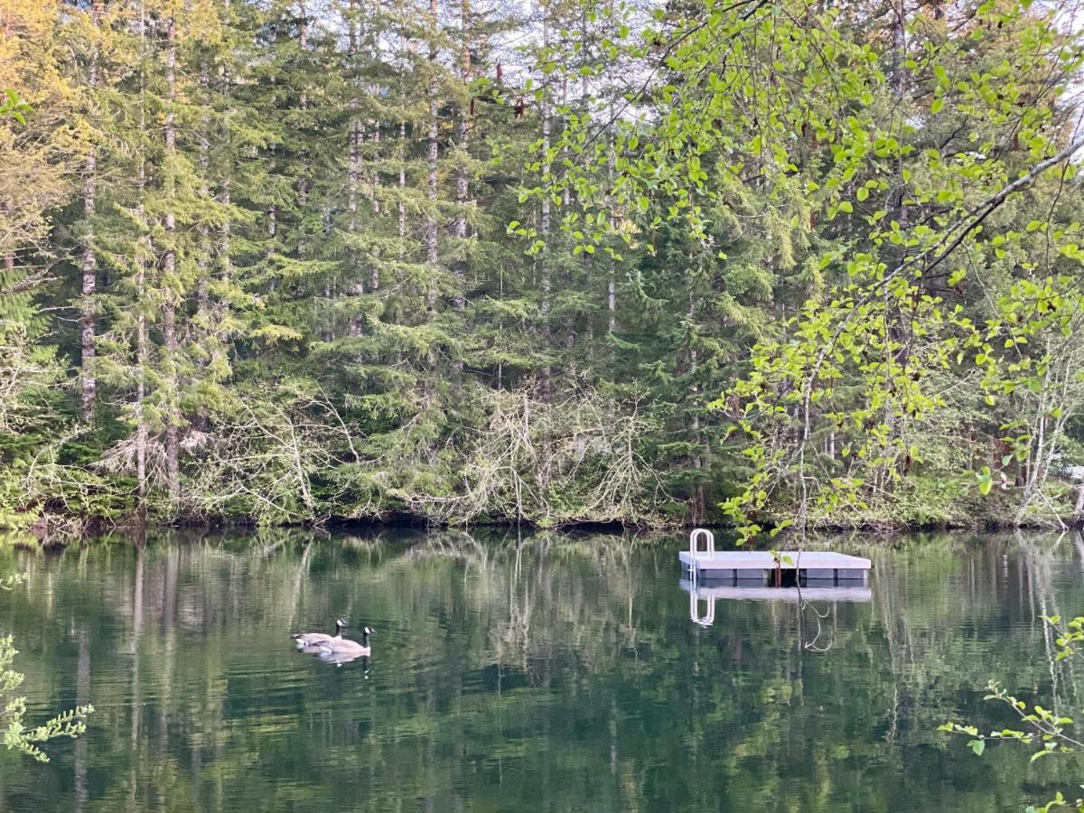 Mt Rainier Little Green Cabin On Big Creek! แอชฟอร์ด ภายนอก รูปภาพ