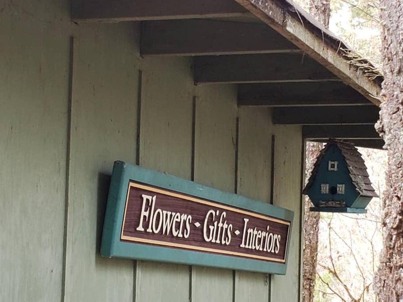 Mt Rainier Little Green Cabin On Big Creek! แอชฟอร์ด ภายนอก รูปภาพ