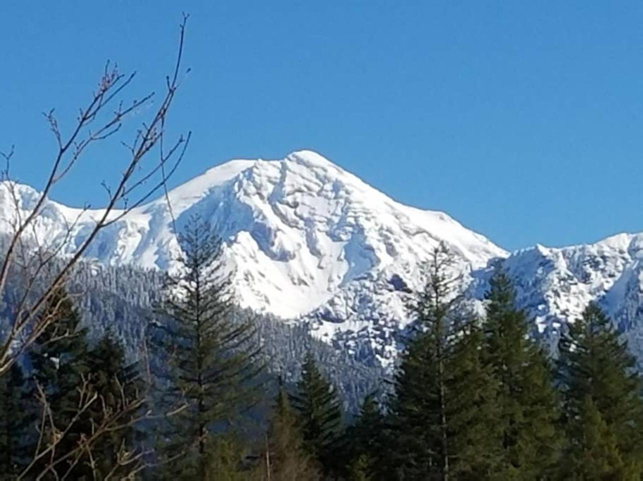 Mt Rainier Little Green Cabin On Big Creek! แอชฟอร์ด ภายนอก รูปภาพ